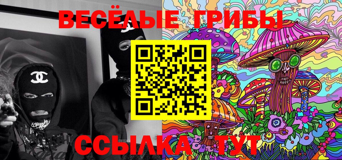 Галлюциногенные грибы MAGIC MUSHROOMS  Вход с VPN  цена наркотик  Кандалакша  Галлюциногенные грибы мицелий 